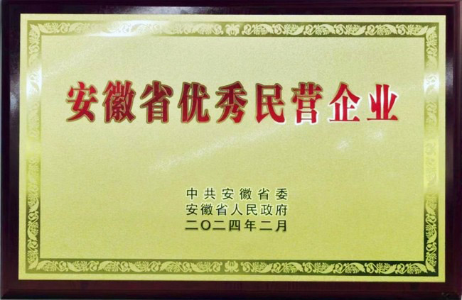 热烈祝贺胜游亚洲网址股份荣获安徽省优良民营企业称号